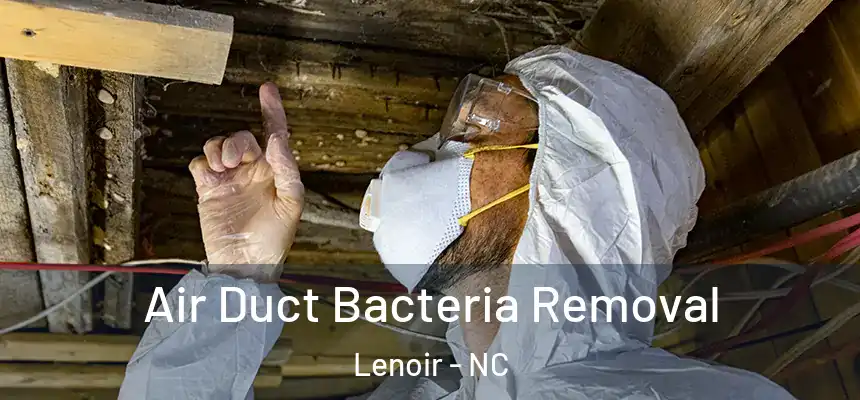 Air Duct Bacteria Removal Lenoir - NC