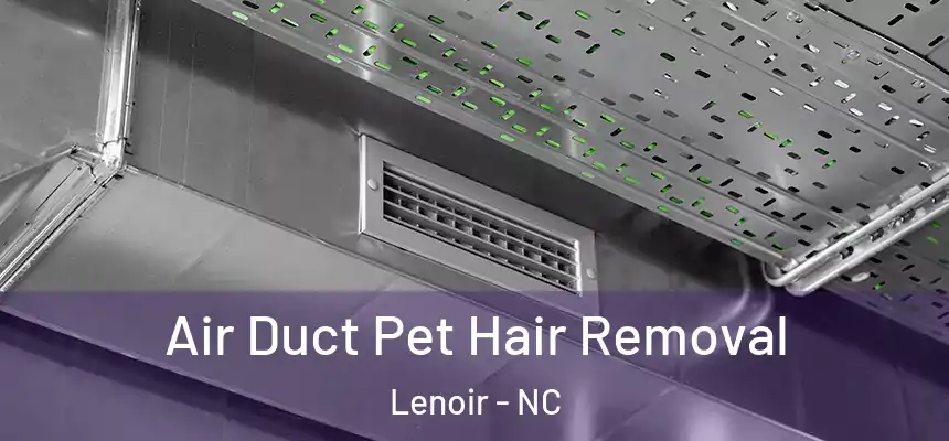 Air Duct Pet Hair Removal Lenoir - NC