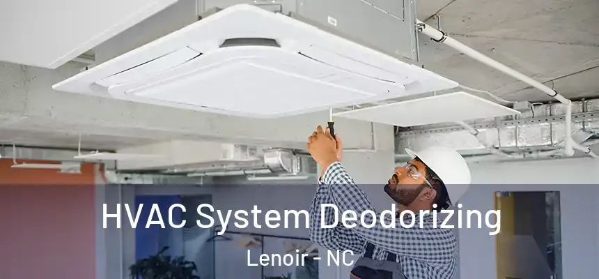 HVAC System Deodorizing Lenoir - NC