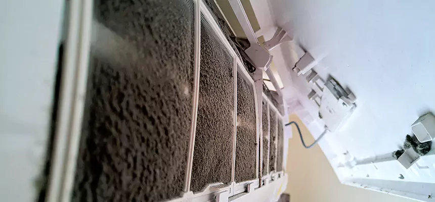 Preventive Air Duct Bacteria Removal in Lenoir