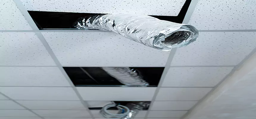 Affordable HVAC Sanitizing After Pest Removal in Lenoir