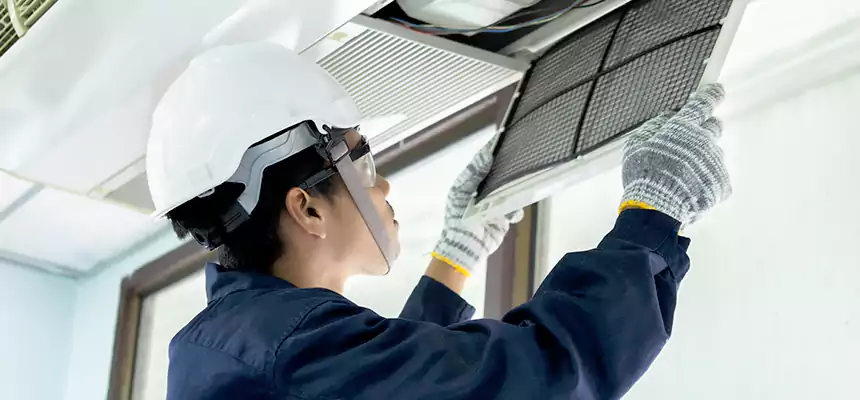 Our Mold & Mildew Removal from Air Ducts Services in Lenoir, NC