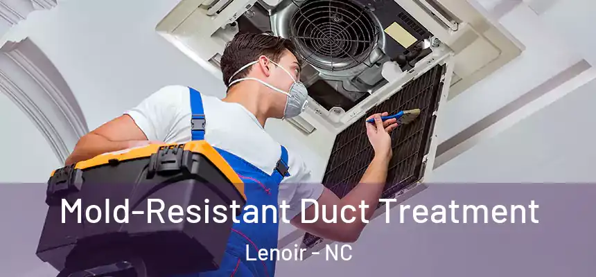  Mold-Resistant Duct Treatment Lenoir - NC