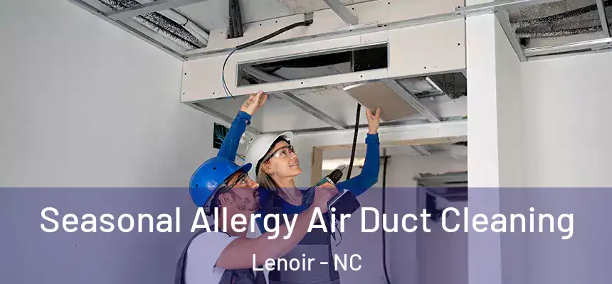 Seasonal Allergy Air Duct Cleaning Lenoir - NC