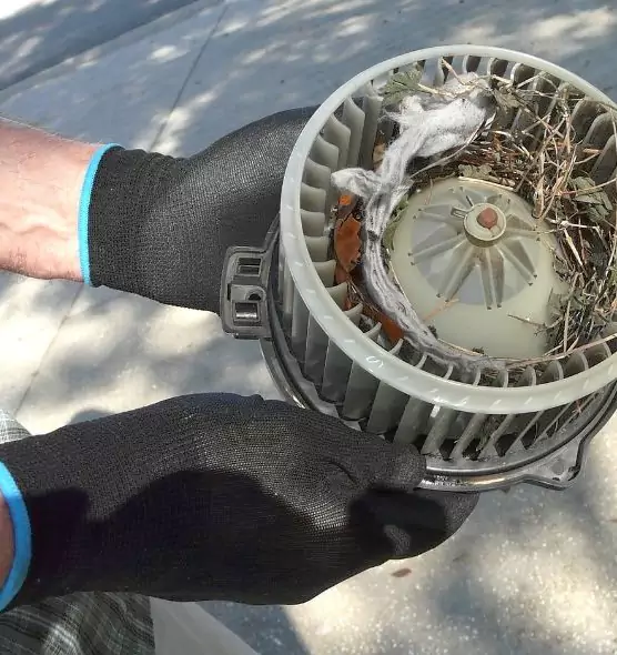 About Air Duct Mice Removal in Lenoir, NC