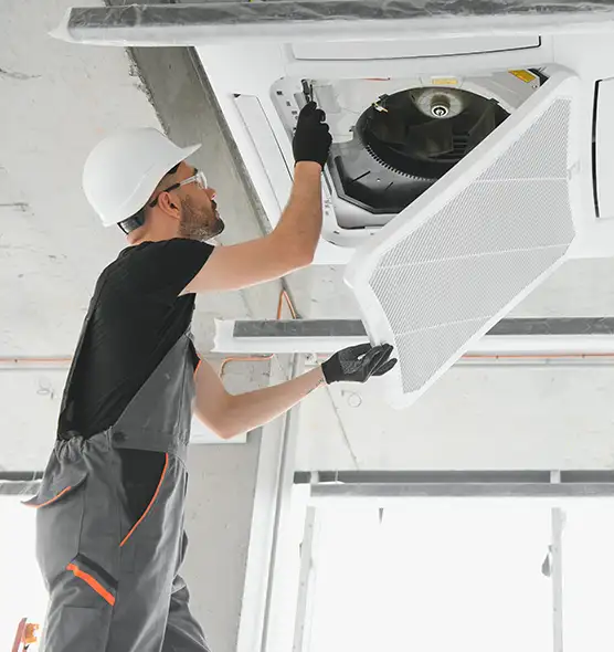 About Air Duct Rodent Removal in Lenoir, NC