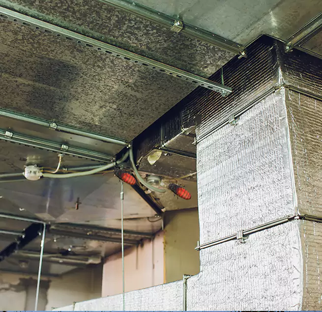 Why Homeowners & Businesses Trust Us in Lenoir, NC?