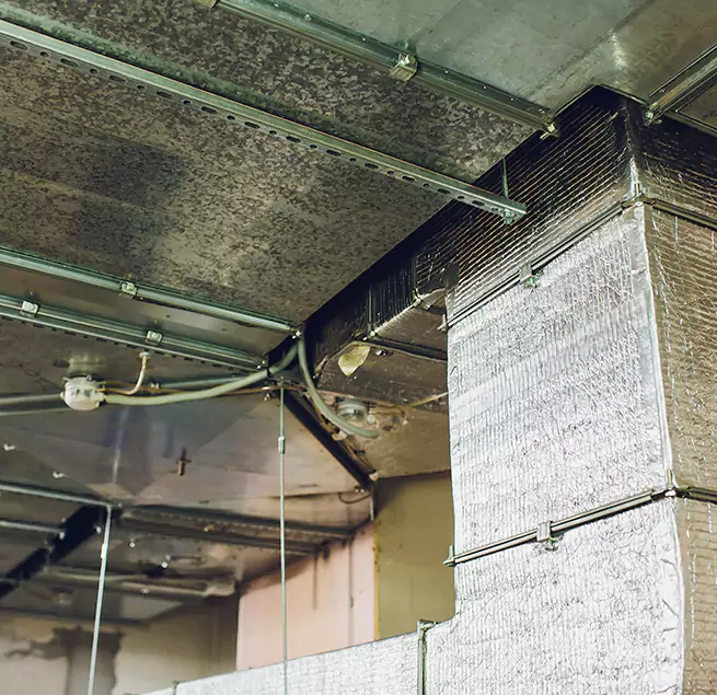 Why Homeowners & Businesses Trust Us in Lenoir, NC?